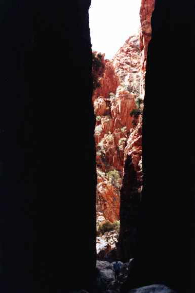 neu-3