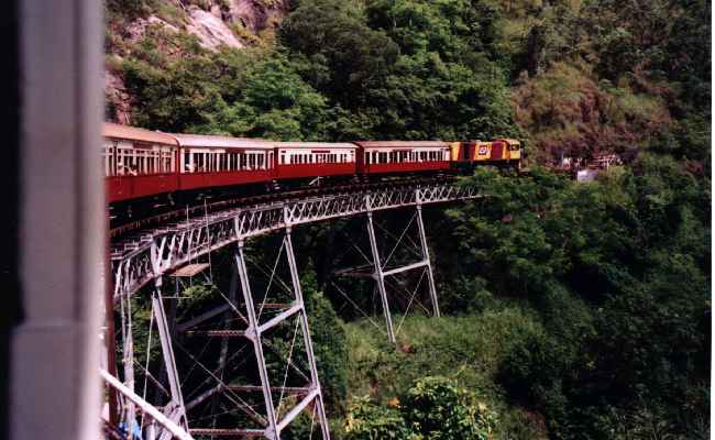 neu-33