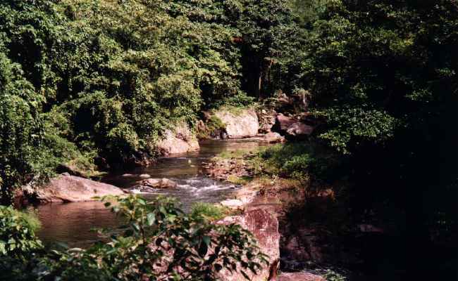 neu-36