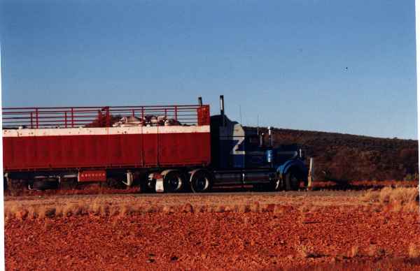neu-6